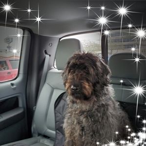 Meet your Posher, Nancy